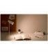 Lámpara Xiaomi Flexible Rechargeable Lamp 2700K~5000K