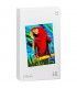 Xiaomi Instant Photo Paper 6 40 Hojas - Papel Fotográfico para Xiaomi 1S Set