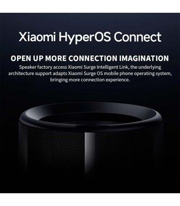 Xiaomi Bluetooth Speaker 40W - Altavoz Bluetooth