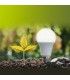 Xiaomi Smart LED Bulb Blanco y Color - Bombilla Inteligente