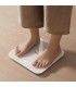 Xiaomi Smart Scale S200 Báscula